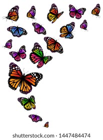 beautiful color butterflies,set, isolated  on a white