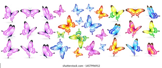 beautiful color butterflies,set, isolated  on a white