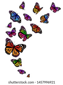 beautiful color butterflies,set, isolated  on a white