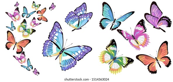 beautiful color butterflies,set, isolated  on a white