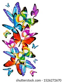 beautiful color butterflies,set, isolated  on a white