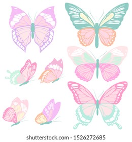 beautiful color butterflies,set, isolated  on a white