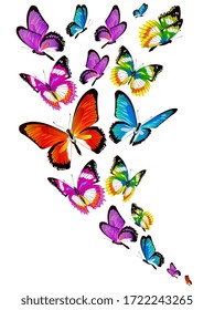 beautiful color butterflies,set, isolated  on a white