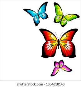 beautiful color butterflies,set, isolated  on a white