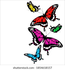 beautiful color butterflies,set, isolated  on a white