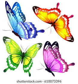 beautiful color butterflies,set, isolated  on a white