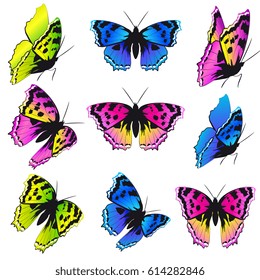 beautiful color butterflies,set, isolated  on a white