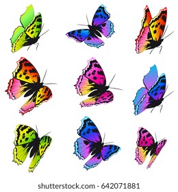 beautiful color butterflies,set, isolated  on a white