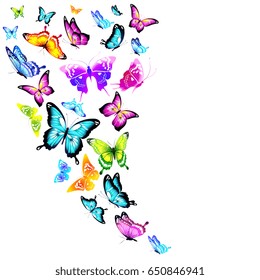 beautiful color butterflies,set, isolated  on a white
