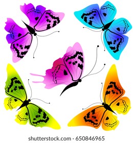 beautiful color butterflies,set, isolated  on a white