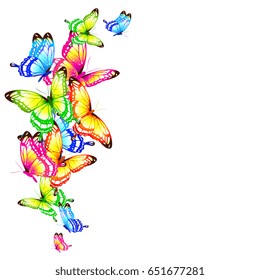 beautiful color butterflies,set, isolated  on a white