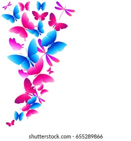 beautiful color butterflies,set, isolated  on a white