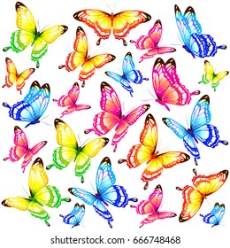 beautiful color butterflies,set, isolated  on a white