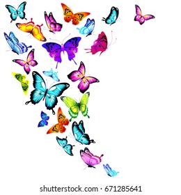 beautiful color butterflies,set, isolated  on a white