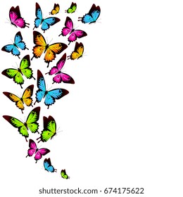 beautiful color butterflies,set, isolated  on a white