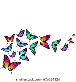 beautiful color butterflies,set, isolated  on a white