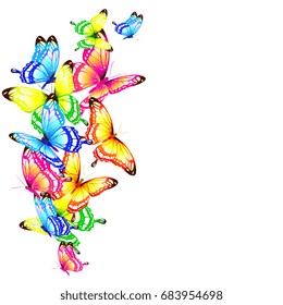 beautiful color butterflies,set, isolated  on a white