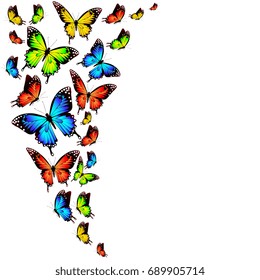 beautiful color butterflies,set, isolated  on a white