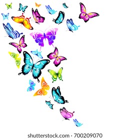 beautiful color butterflies,set, isolated  on a white