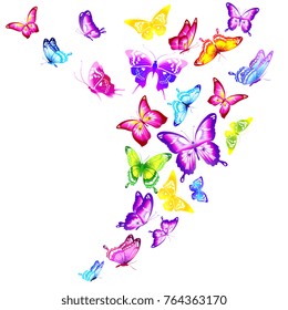beautiful color butterflies,set, isolated  on a white