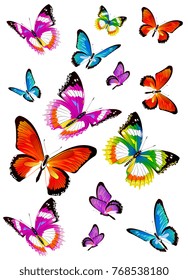 Colourful Butterfly Images, Stock Photos & Vectors | Shutterstock