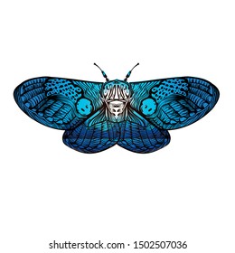 Beautiful color butterfly with landscape print on a white background in linear style. Hand-drawn.