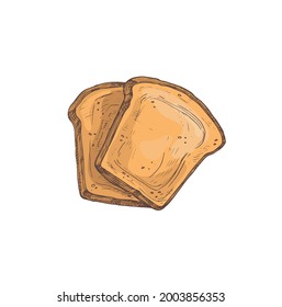 beautiful color cartoon illustration of bread isolated on white background