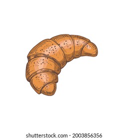 beautiful color cartoon illustration of bread isolated on white background