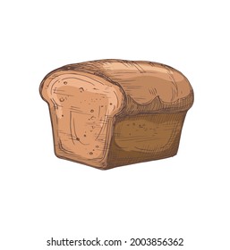 beautiful color cartoon illustration of bread isolated on white background