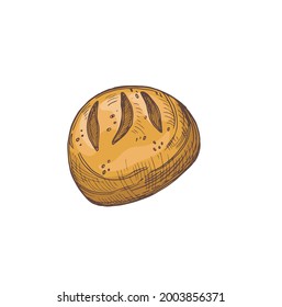 beautiful color cartoon illustration of bread isolated on white background