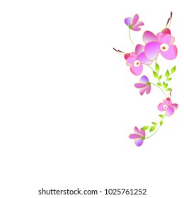 beautiful color flowers, isolated on a white