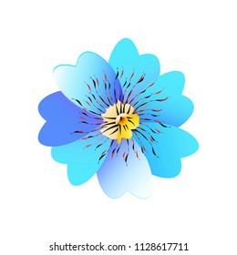 beautiful color flowers, isolated on a white