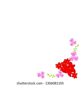 beautiful color flowers, isolated on a white