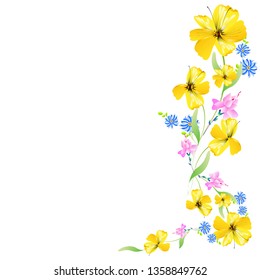 beautiful color flowers, isolated on a white