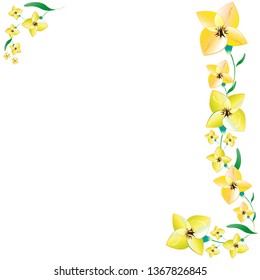 beautiful color flowers, isolated on a white