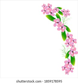 beautiful color flowers, isolated on a white
