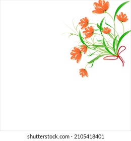 beautiful color flowers, isolated on a white