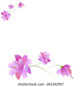 beautiful color flowers, isolated on a white