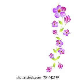 beautiful color flowers, isolated on a white
