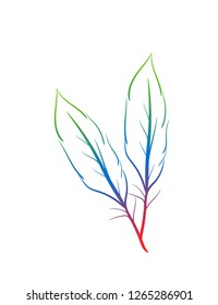 Beautiful color leaf design. Leaf like rainbow illustrated design.