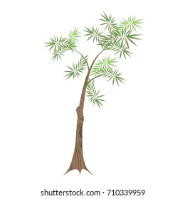 beautiful color tree, isolated on a white