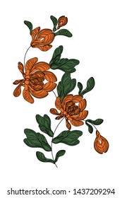 Beautiful color vertical composition of maple vultures on a white background. Ethnic floral motif made from natural elements. Author's eco design