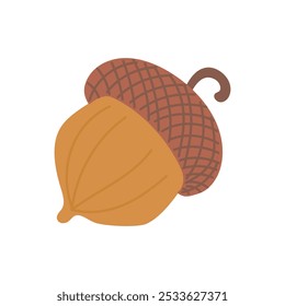 Beautiful colored acorn from oak tree isolated on white background. Hand drawn vector flat colored illustration. Autumn falling leaves, foliage, icon, symbol, sticker design