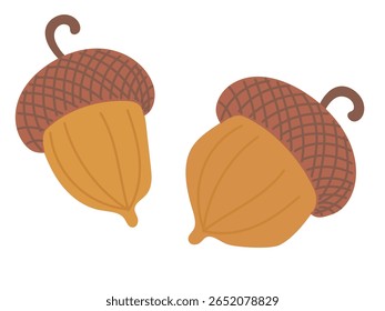 Bonita bolota colorido conjunto de carvalho árvore isolado no fundo branco. Ilustração de cor plana vetor desenhada à mão. Folhas de outono caindo, folhagem, ícone, símbolo, design do adesivo