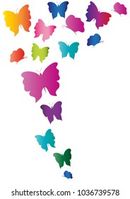 beautiful colored butterfly vector
