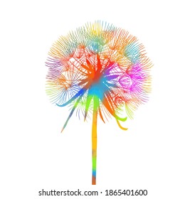 Beautiful colored dandelion. Vector illustration