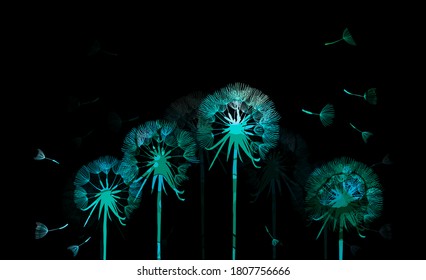 Beautiful colored dandelions. Vector illustration