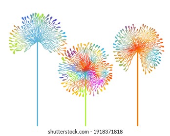 Beautiful colored dandelions. Vector illustration