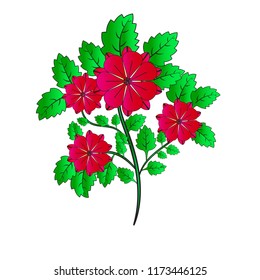 Beautiful colored flower plant vector design illustration.