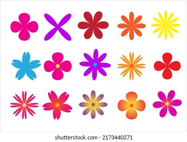 Beautiful colored flowers on white background